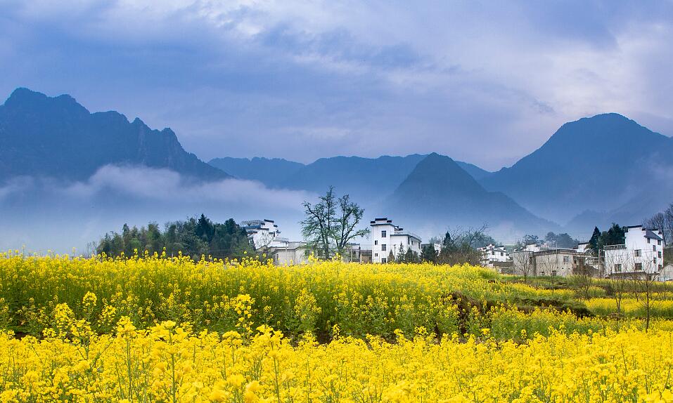 【通知】关于知盈达2022年清明节放假通知